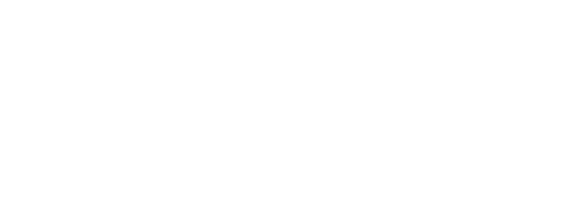 Nyc2Company Logo